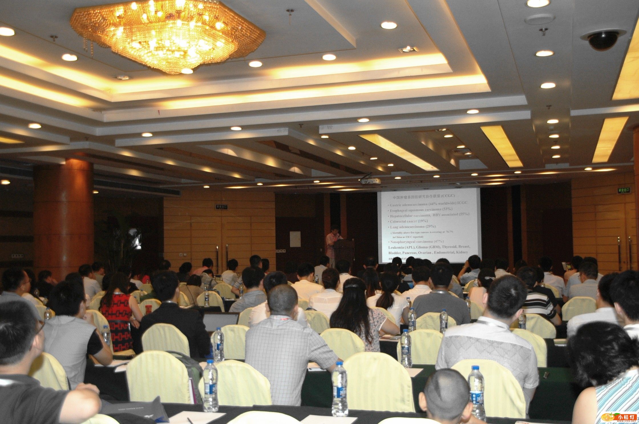 2014071023230608.jpg