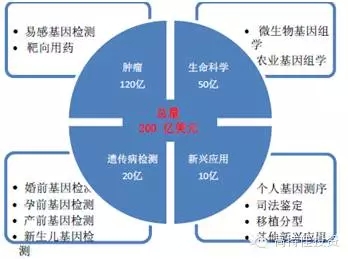 640.webp (18).jpg