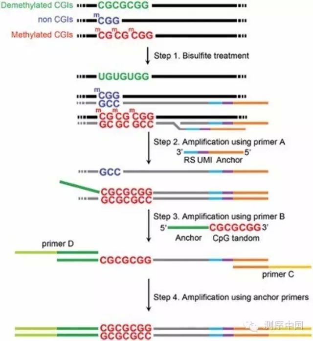 640.webp (1).jpg 640.webp (1).jpg
