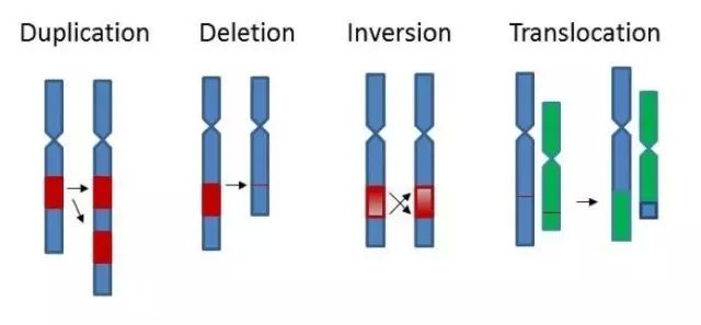 640.webp (4).jpg 640.webp (4).jpg