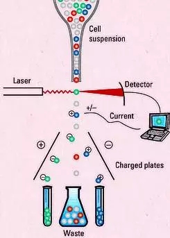 640.webp (1).jpg