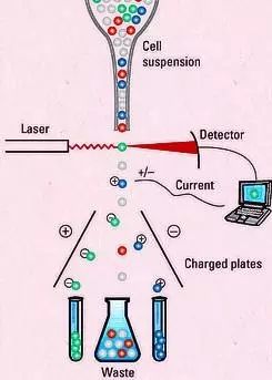 640.webp (1).jpg