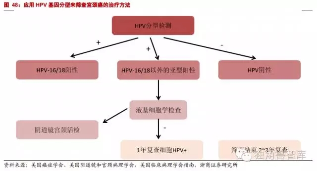 640.webp (9).jpg