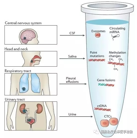 640.webp (2).jpg