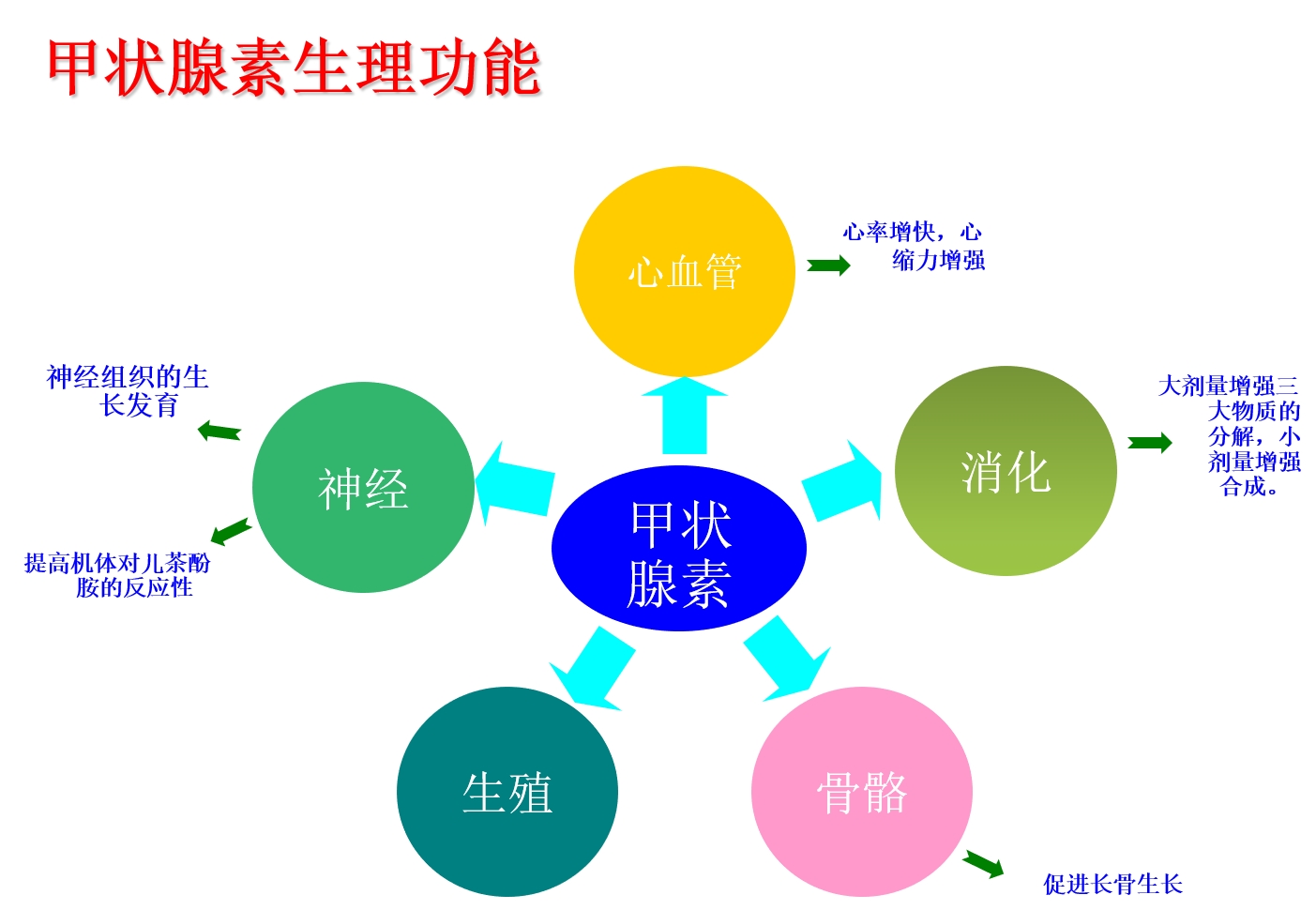 图片5_副本.jpg