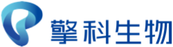 b5bc3ab74bcb921f4bf417a4c6e1893e-sz_13411.png